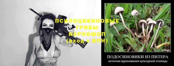 дурь Арсеньев