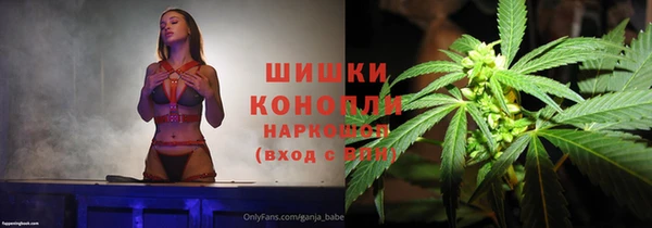 СК Осинники